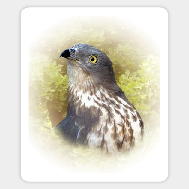 Honey buzzard Sticker by Guardi